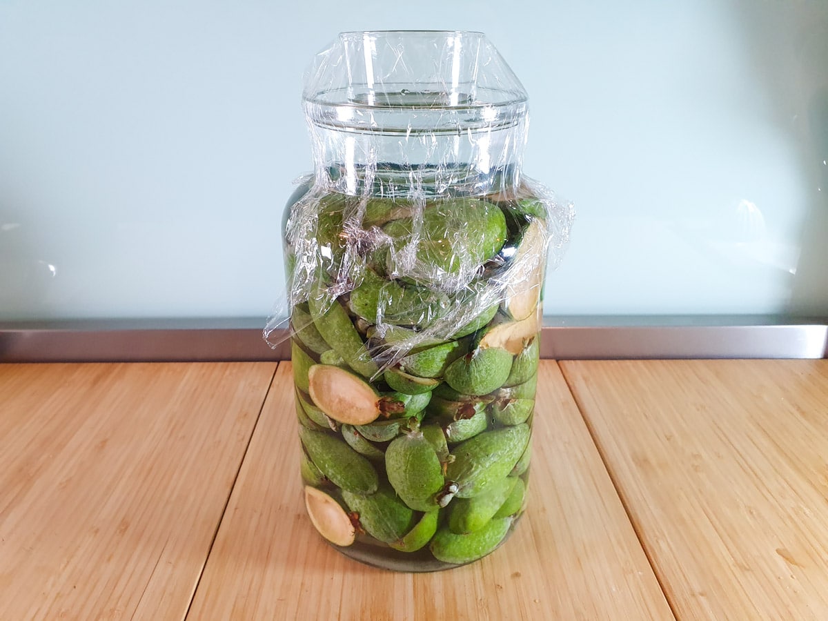 Feijoa fizz 7 Jar with feijoa skins weighed down by glass and covered with cling film.