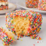 Fairy Bread Lamingtons 11 Close up rainbow lamington.